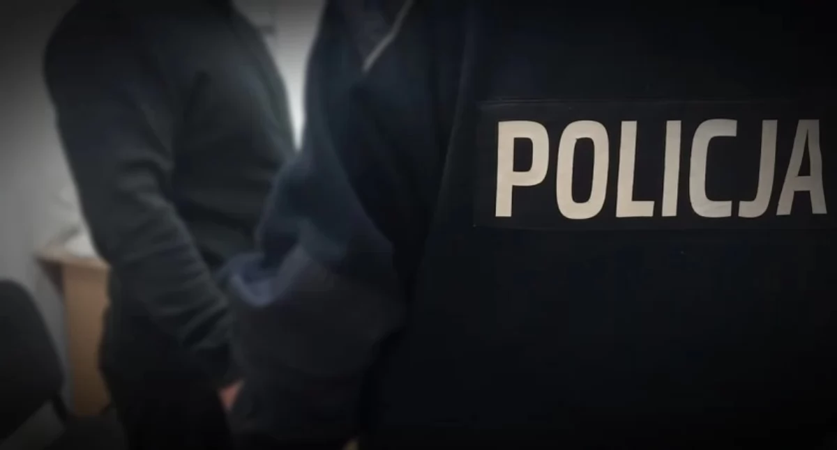 Poszukiwani w rękach policji. Trafili do zakładu karnego