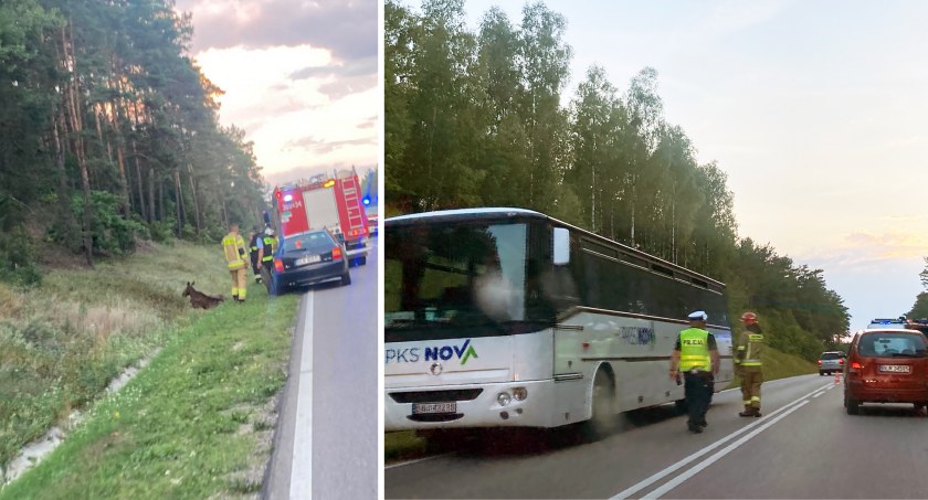 Zdjęcia nadesłane przez Czytelników