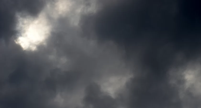 źródło: pxhere