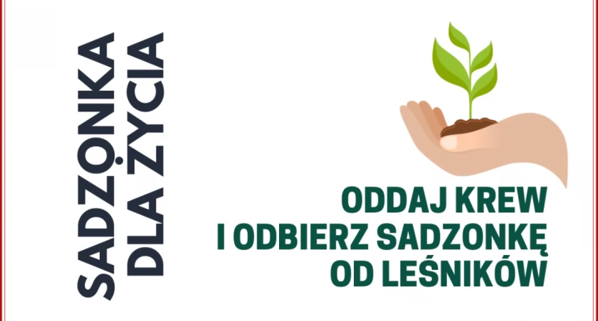 nadesłane