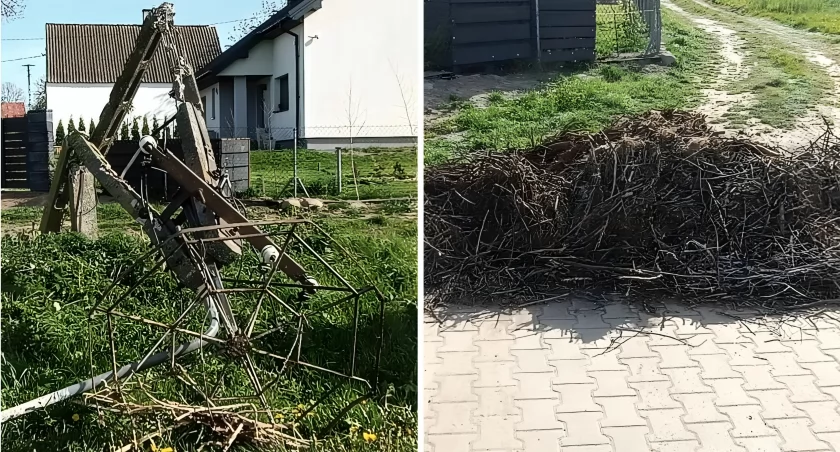 fot. Czytelniczka