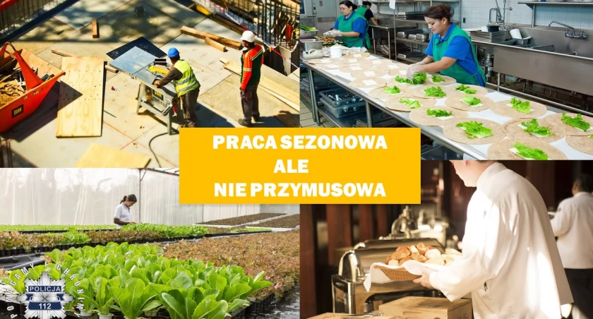 Policja