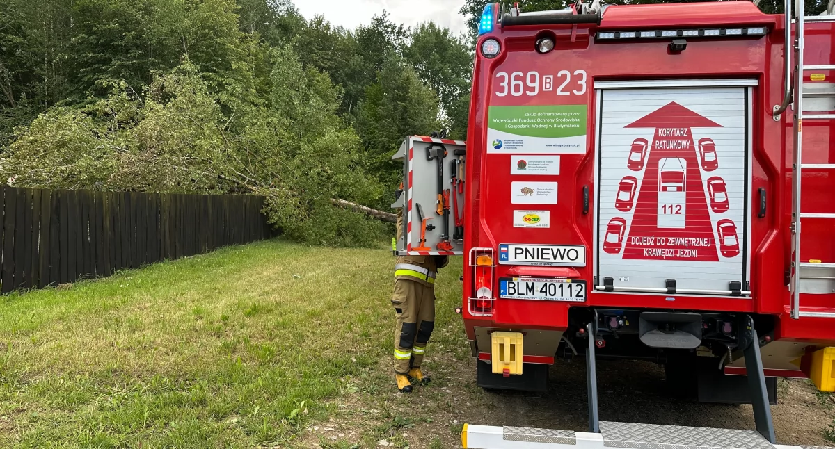 Pożary i interwencje straży, Wiatr zbiera żniwa Strażacy mają pełne ręce roboty - zdjęcie, fotografia
