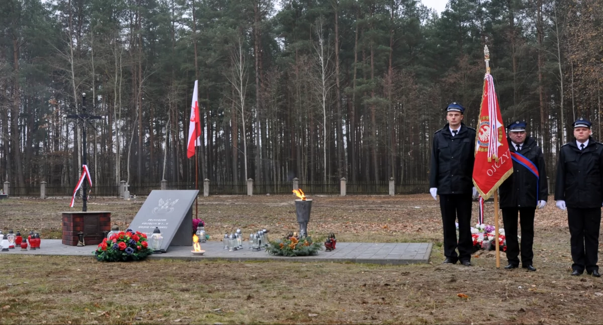 Gmina Zbójna