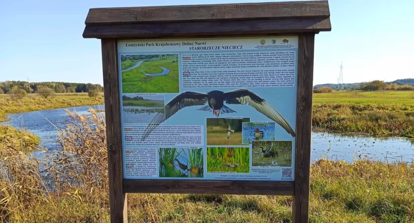 Łomżyński Park Krajobrazowy Doliny Narwi