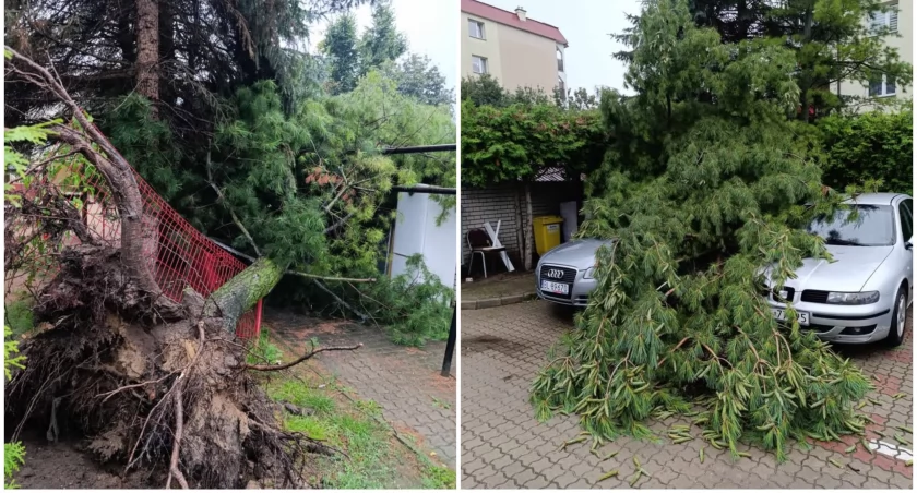 OSP Nowogród