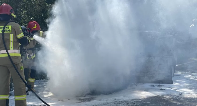 Fot. ilustracyjne