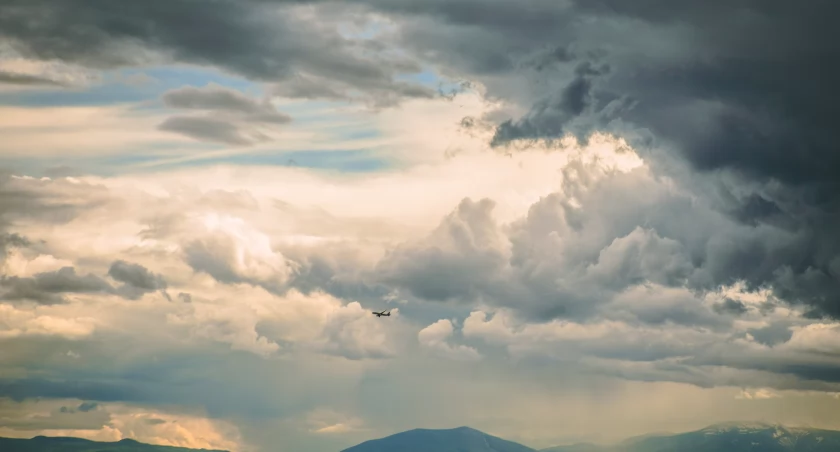 freepik
