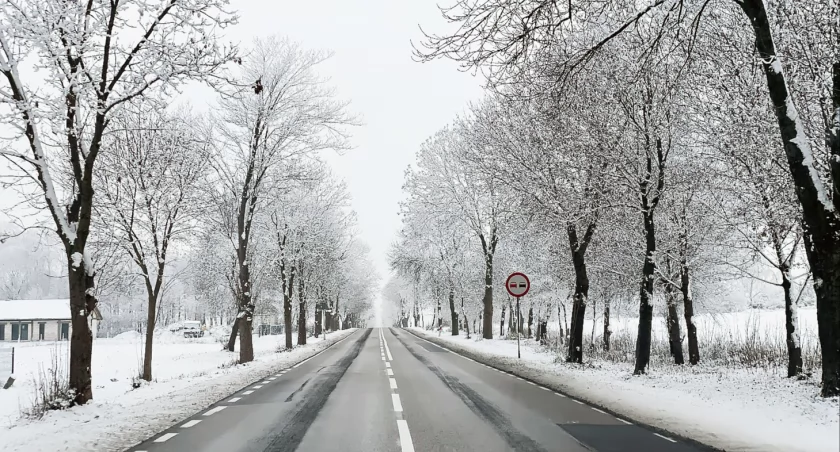 Fot. freepik