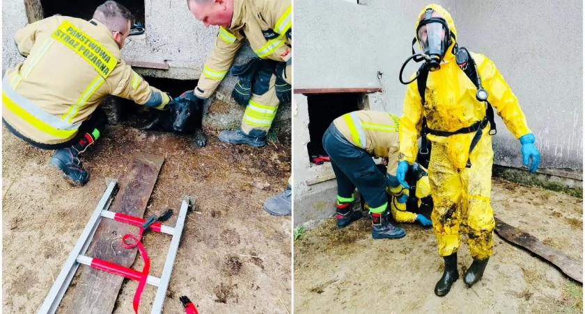 Fot. Komenda Miejska Państwowej Straży Pożarnej w Łomży