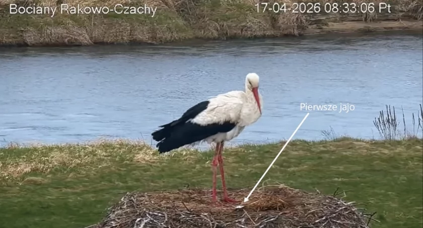 Fot. Łomżyński Park Krajobrazowy Doliny Narwi