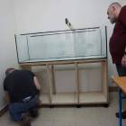 zdjęcie nr 8