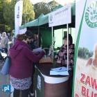 zdjęcie nr 20