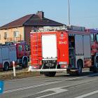 Fotka nr 4 z 8