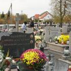 zdjęcie nr 13