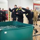 zdjęcie nr 13