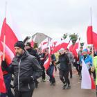zdjęcie nr 8