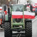 zdjęcie nr 24