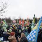 zdjęcie nr 21