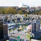 zdjęcie nr 14
