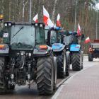 Fotka nr 2 z 14
