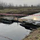 zdjęcie nr 8