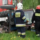 Fotka nr 3 z 10