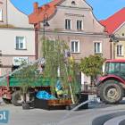 zdjęcie nr 7