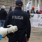 zdjęcie nr 8