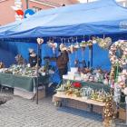 zdjęcie nr 12