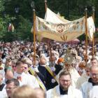 zdjęcie nr 29
