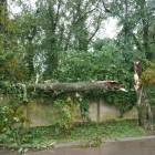 zdjęcie nr 33
