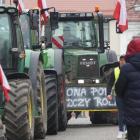 zdjęcie nr 21