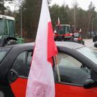 zdjęcie nr 10