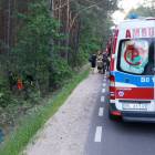Fotka nr 3 z 14