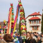 zdjęcie nr 33