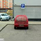 zdjęcie nr 10