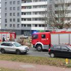 Fotka nr 4 z 10