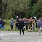 zdjęcie nr 10