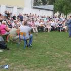zdjęcie nr 14