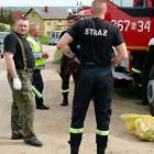 zdjęcie nr 12