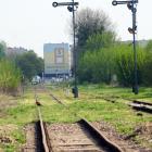 Fotka nr 4 z 44