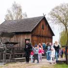 zdjęcie nr 77