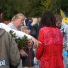 zdjęcie nr 25