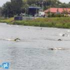 zdjęcie nr 10