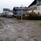 zdjęcie nr 10