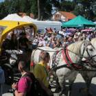 zdjęcie nr 56
