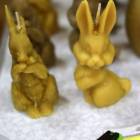 zdjęcie nr 20