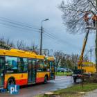 zdjęcie nr 74
