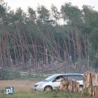 zdjęcie nr 37